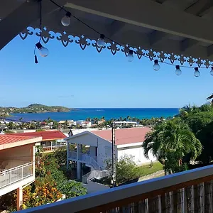 Frangipani Dans Fleurs Des Iles Appartement Le Vauclin